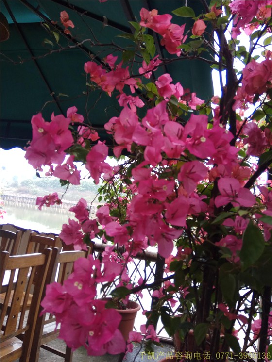 南寧不銹鋼水箱廠家千凱之燒烤活動，咨詢0771-3903136