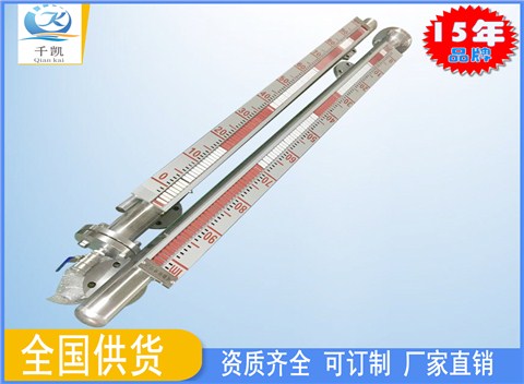 側(cè)立式磁翻板液位計(jì)